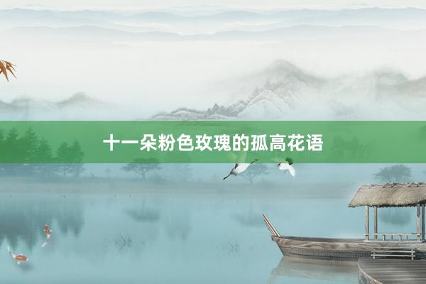 十一朵粉色玫瑰的孤高花语