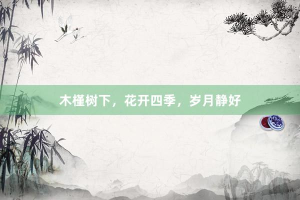 木槿树下，花开四季，岁月静好